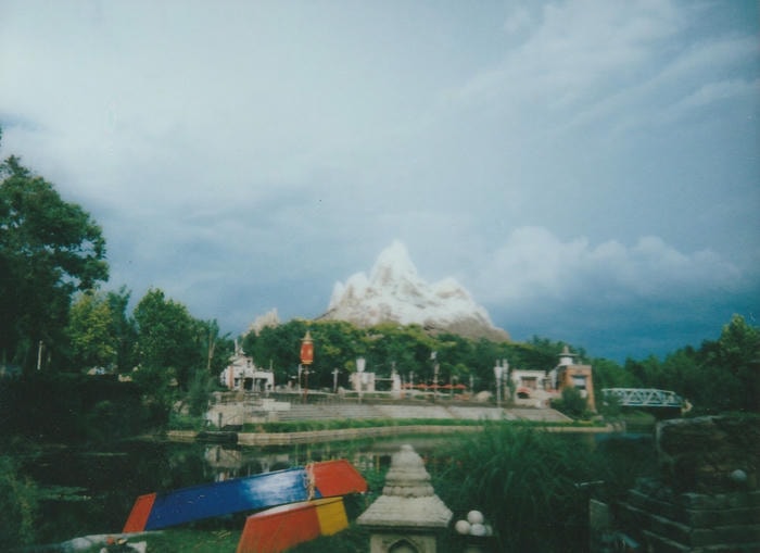 instant picture from my florida trip